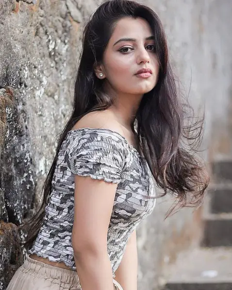 Dipika Travel Companion